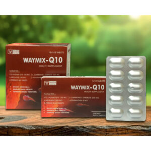 WAYMIX-Q10