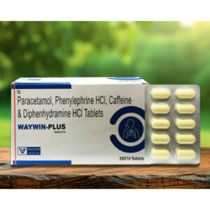 WAYWIN-PLUS