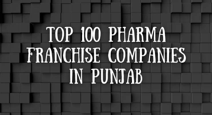 Top 100 Pharma Franchise Companies in Punjab