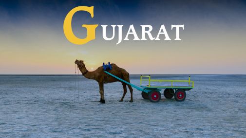 Top 60 PCD Pharma Franchise Companies in Gujarat