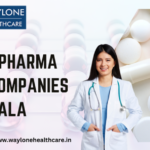 Top 10 PCD Pharma Franchise Companies in Ambala