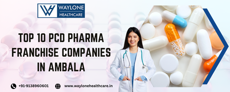 Top 10 PCD Pharma Franchise Companies in Ambala