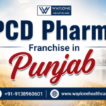 PCD Pharma Franchise in Punjab