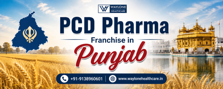 PCD Pharma Franchise in Punjab